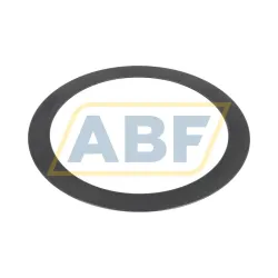 Шайба для игольчатого упорного подшипника AS160200 SKF