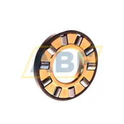 Цилиндрический роликовый подшипник с сепаратором AZK12263.5 IKO