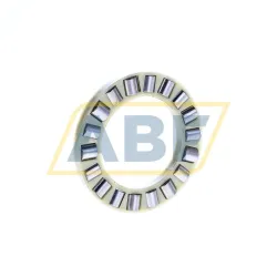 Цилиндрический роликовый подшипник с сепаратором K81210TN Neutral