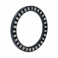 Цилиндрический роликовый подшипник с сепаратором K81124TN Neutral