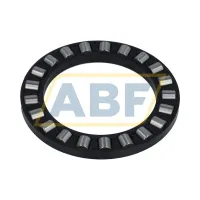 Цилиндрический роликовый подшипник с сепаратором K81112TN Neutral