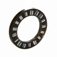 Цилиндрический роликовый подшипник с сепаратором K81106 Neutral