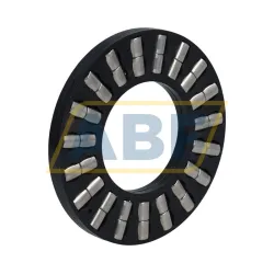 Цилиндрический роликовый подшипник с сепаратором K89308TN Neutral