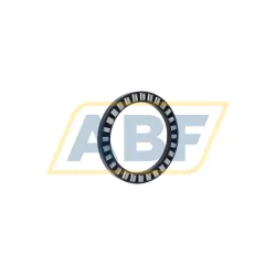 Цилиндрический роликовый подшипник с сепаратором K81122-TV/0-8 INA