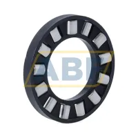 Цилиндрический роликовый подшипник с сепаратором K81104-TV-A/0-8 INA