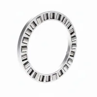 Цилиндрический роликовый подшипник с сепаратором K81120LPB FAG