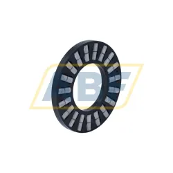 Цилиндрический роликовый подшипник с сепаратором K89308-TV/0-8 INA