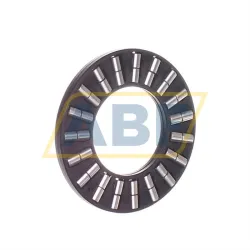 Цилиндрический роликовый подшипник с сепаратором K89309-TV INA