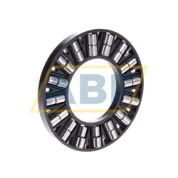 Цилиндрический роликовый подшипник с сепаратором K89307-TV/0-8 INA