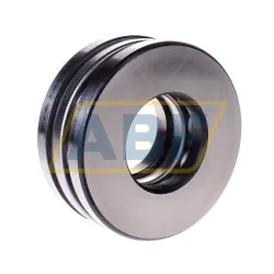 Упорный шариковый подшипник одинарный PP45 RIV