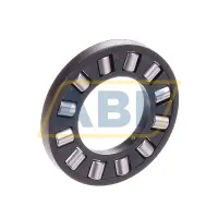 Цилиндрический роликовый подшипник с сепаратором K81102TN Neutral