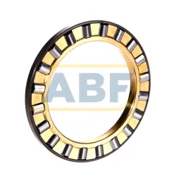 Цилиндрический роликовый подшипник с сепаратором AZK60857.5MP Neutral