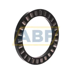 Цилиндрический роликовый подшипник с сепаратором K81120-TV/-4 INA