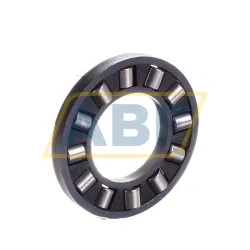 Цилиндрический роликовый подшипник с сепаратором K81102-TV Neutral