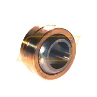 Подшипник GE20-PB INA