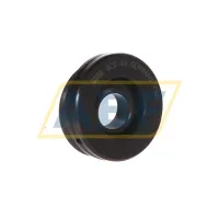 Подшипник GE10-AX INA