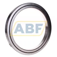 Специальный подшипник SX011840-A INA