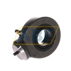 Шарнирная головка GK25-DO INA