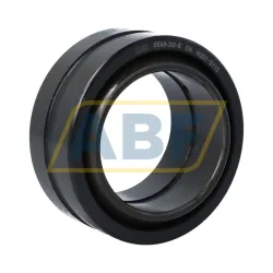 Подшипник GE60-DO-E INA