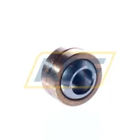 Подшипник GE10-PB INA