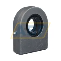 Шарнирная головка GF50-DO-C INA