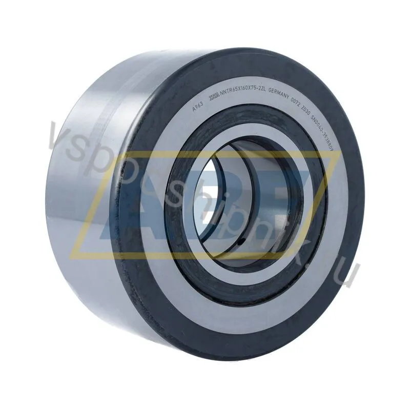 Ролик NNTR65X160X75-2ZL INA 360