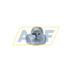 Шарнирная головка GIKSL20-PS INA