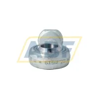 Шарнирная головка GISW25 STW