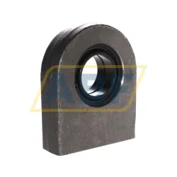 Шарнирная головка GF50-DO-A INA