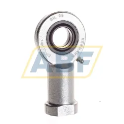 Шарнирная головка GIL25DO INA