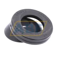 Подшипник GE10-AX Elges