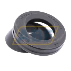 Подшипник GE10-AX Elges