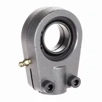 Шарнирная головка GIHRK30-DO-B INA
