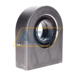 Шарнирная головка GF60-DO-A INA