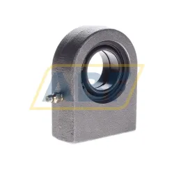 Шарнирная головка GF30-DO-A INA