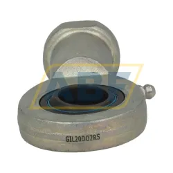 Шарнирная головка GIL20DO-2RS SM