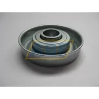 Специальный подшипник MTR-50X1,5.20 MTR