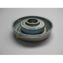 Специальный подшипник MTR-50X1,5.20 MTR