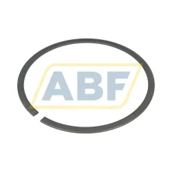 Стопорная шайба RG DIN5417-SP 190 FAG