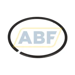 Стопорная шайба RG DIN5417-SP 100 FAG