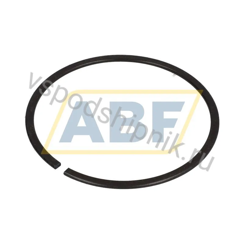 Стопорная шайба RG DIN5417-SP 100 FAG 360