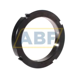 Контргайка ZM120 INA