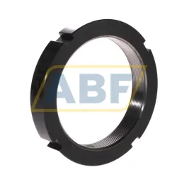 Контргайка ZM100 INA