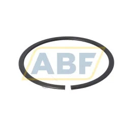 Стопорная шайба RG DIN5417-SP 120 FAG