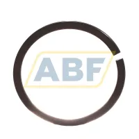 Retaining element SP52 FAG