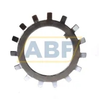 Стопорная шайба W09 SKF
