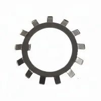 Стопорная шайба W06 SKF