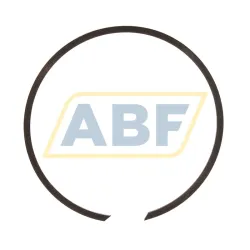 Стопорная шайба BR100 INA