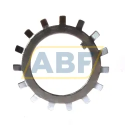 Стопорная шайба W09 Timken