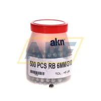 Подшипник RB6MM/G100/SS420 AKN